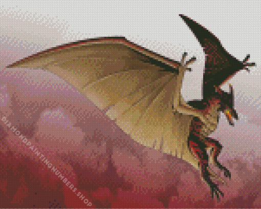 Rodan Diamond by numbers