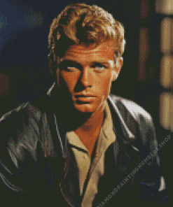 Troy Donahue Diamond Painting