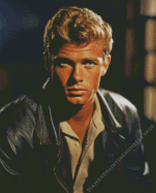 Troy Donahue Diamond Painting