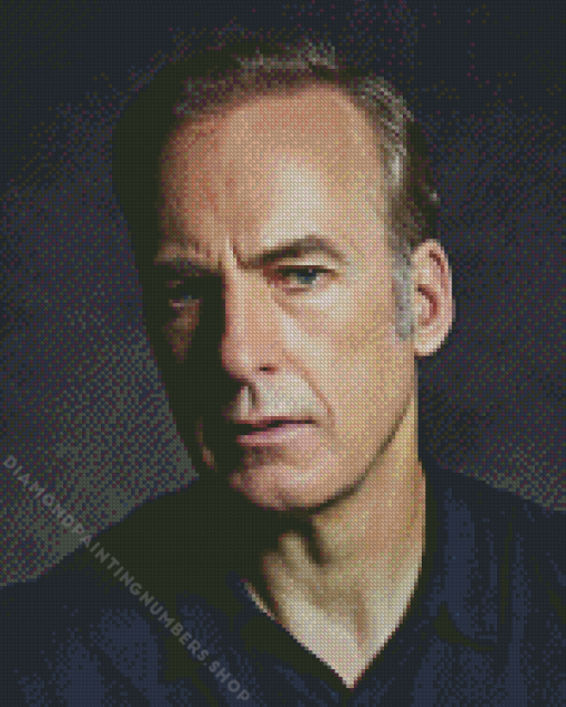 Bob Odenkirk Diamond Painting