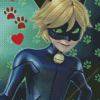 Cat Noir Adrien Agreste Diamond Painting