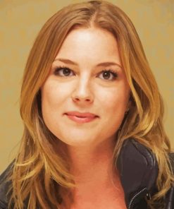 Emily Vancamp Actress Diamond Painting