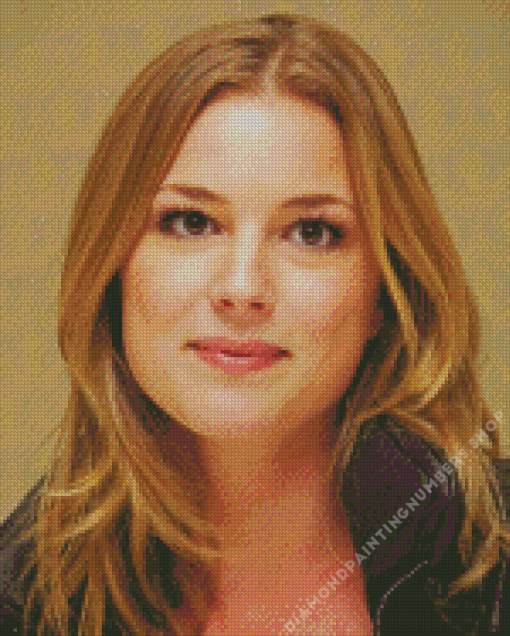 Emily Vancamp Actress Diamond Painting