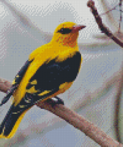 Golden Oriole Diamond Painting