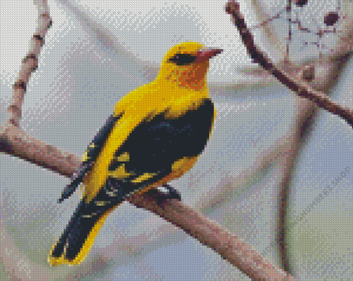 Golden Oriole Diamond Painting