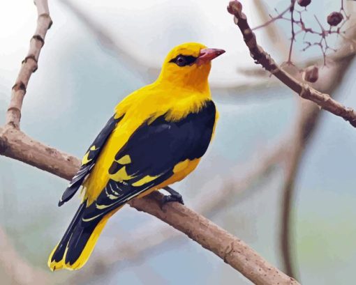 Golden Oriole Diamond Painting