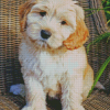 Labradoodle Puppy Dog Diamond Painting