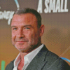 Liev Schreiber Diamond Painting