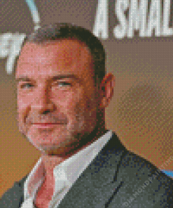 Liev Schreiber Diamond Painting