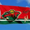 Minnesota Wild Flag Diamond Painting