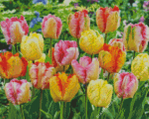 Parrot Tulips Field Diamond Painting