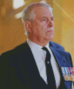 Prince Andrew Diamond Painting