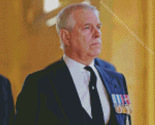 Prince Andrew Diamond Painting