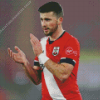 Shane Long Diamond Painting