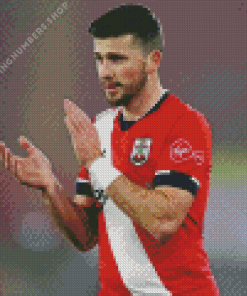 Shane Long Diamond Painting