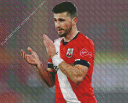 Shane Long Diamond Painting