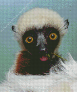 Sifaka Diamond Painting