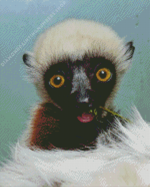 Sifaka Diamond Painting