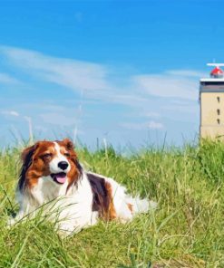 Kooikerhondje Diamond Painting