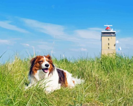 Kooikerhondje Diamond Painting