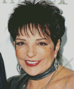 Liza Minnelli Diamond Painting