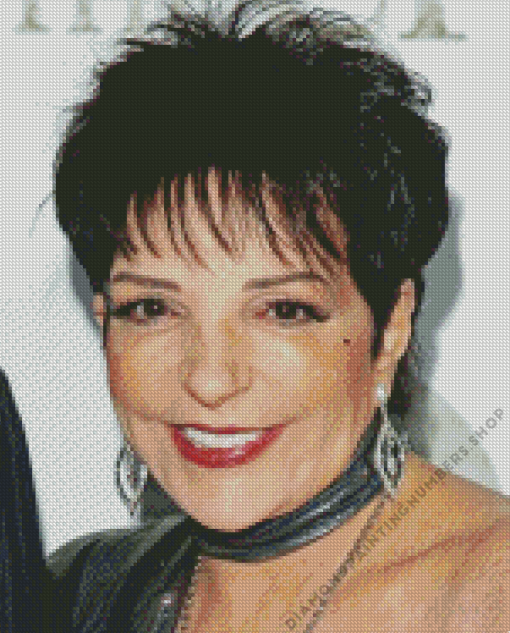 Liza Minnelli Diamond Painting