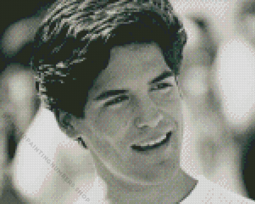 Matthew Labyorteaux Diamond Painting