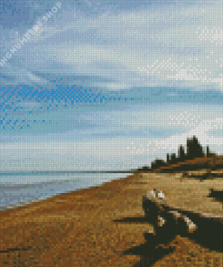 Pinery Provincial Park Diamond Painting