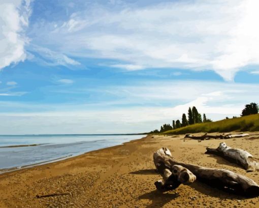 Pinery Provincial Park Diamond Painting