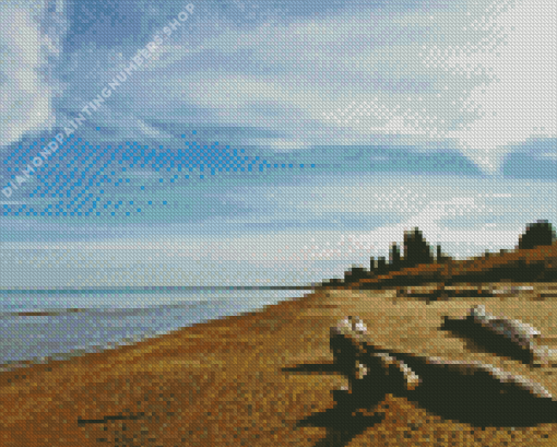 Pinery Provincial Park Diamond Painting