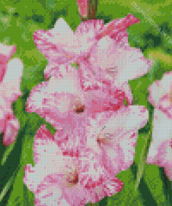 Pink Gladiolus Diamond Painting