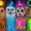 4 seasoned owl diamond paints