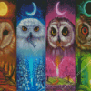 4 seasoned owl diamond paints