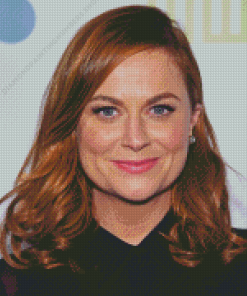 Amy Poehler Diamond Painting