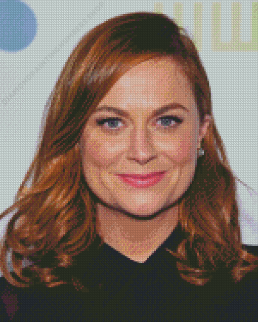 Amy Poehler Diamond Painting