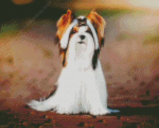 Biewer Terrier Diamond Painting