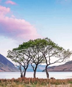 Buttermere Lake Diamond Painting