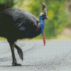 Cassowary Bird Diamond Painting