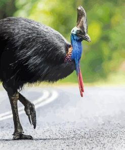 Cassowary Bird Diamond Painting