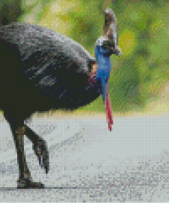 Cassowary Bird Diamond Painting