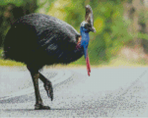 Cassowary Bird Diamond Painting