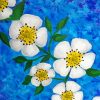 Cherokee rose flowers Diamond Paintings