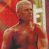 Cody Rhodes Diamond Paintings