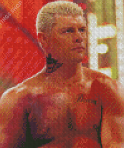 Cody Rhodes Diamond Paintings