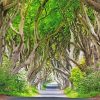 Dark hedges ireland Diamond Dotz