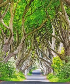 Dark hedges ireland Diamond Dotz