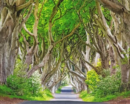 Dark hedges ireland Diamond Dotz