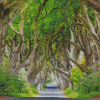 Dark hedges ireland Diamond Dotz