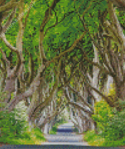 Dark hedges ireland Diamond Dotz