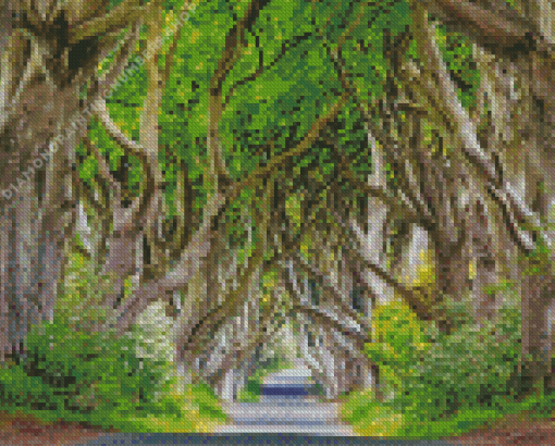 Dark hedges ireland Diamond Dotz